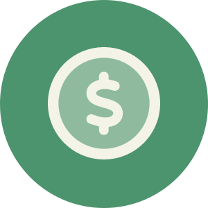 Coin icon